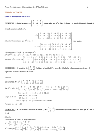 5-Algebra-de-matrices.pdf