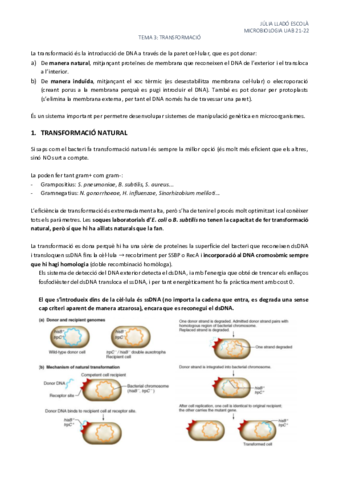 Tema-3-Transformacio.pdf