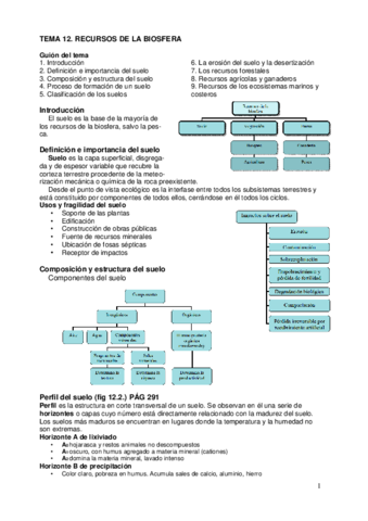 Tema12.pdf