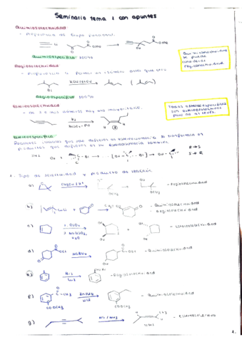 seminario-con-apuntes-tema-1.pdf