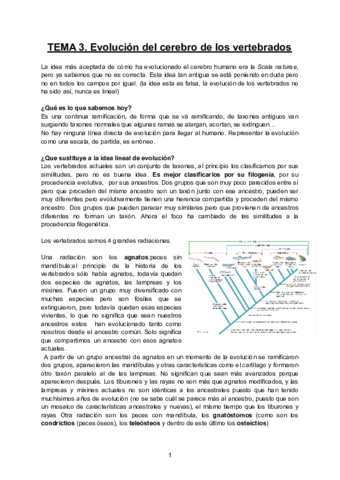 TEMA-3-ECC.pdf