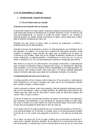 UD-4-Desarrollo-Socio-afectivo.pdf