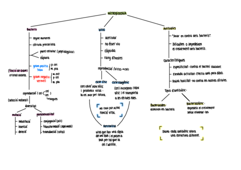 Microbiologia-esquema.pdf