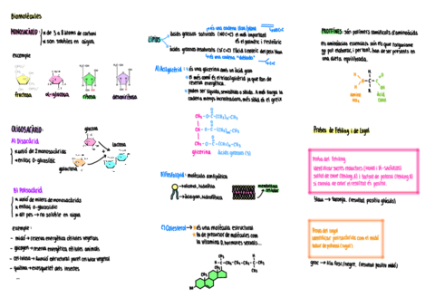 Biomolecules.pdf