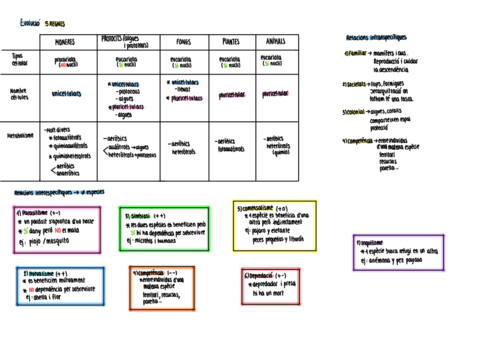 evolucio.pdf