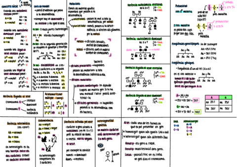 genetica.pdf