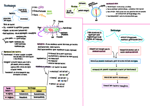 microbiologia.pdf