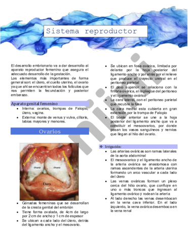 El-desarrollo-embrionario-va-a-dar-desarrollo-al-aparato-reproductor-femenino-que-asegura-el-adecuado-desarrollo-de-la-gestacion.pdf