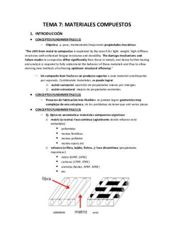 TEMA-7-CTM.pdf