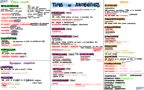 Esquema-antibioticos.pdf