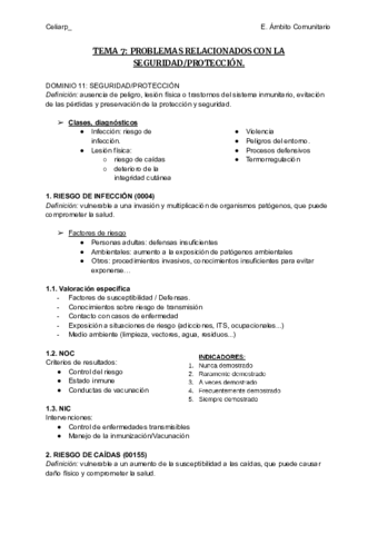 TEMA-7-PROBLEMAS-RELACIONADOS-CON-LA-SEGURIDADPROTECCION.pdf