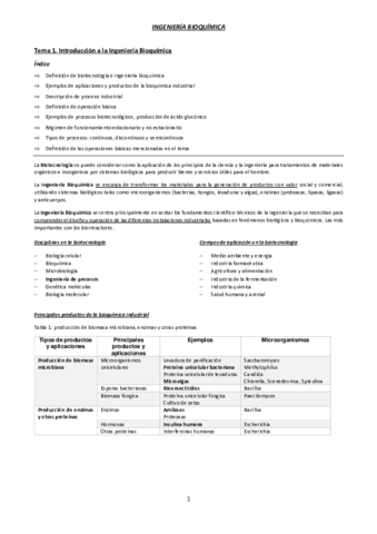 IB-TEMA1.pdf