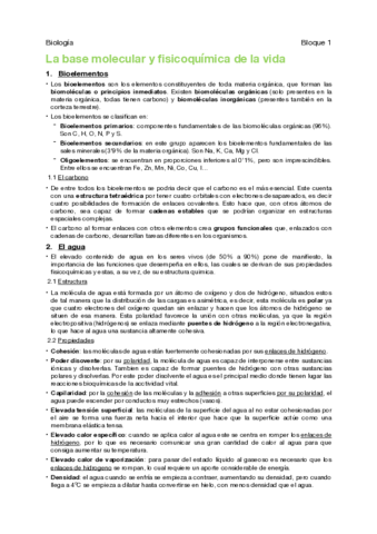 Biologia-2oBach.pdf