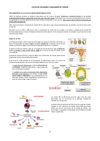 TEMA-4B-Ingenieria-de-tejidos.pdf