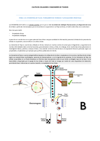 TEMA-1B-Citometria-de-flujo.pdf