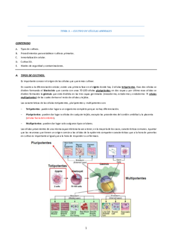 Tema-3A-Tipo-de-cultivos.pdf