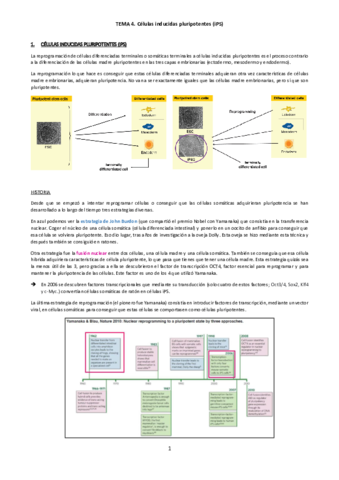 TEMA-4C-Ingenieria-de-tejidos.pdf