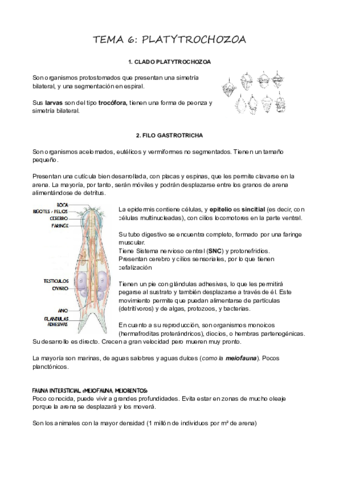 T6Platytrochozoa.pdf