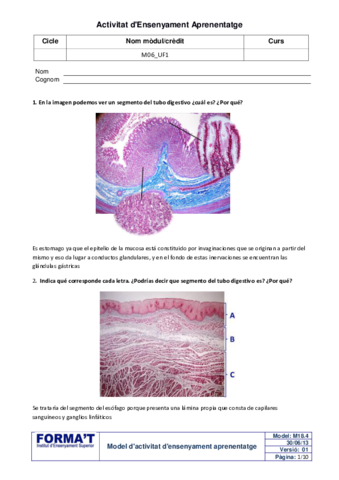 NF2-Q1-M6-UF1-Histologia-digestivo.pdf