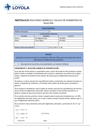 memopractica3.pdf