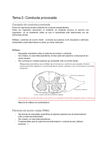 APRENDIZAJE-Y-MEMORIA-Tema-2.pdf