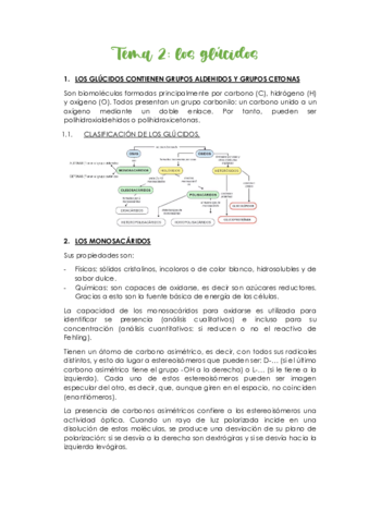 Tema-2-glucidos.pdf