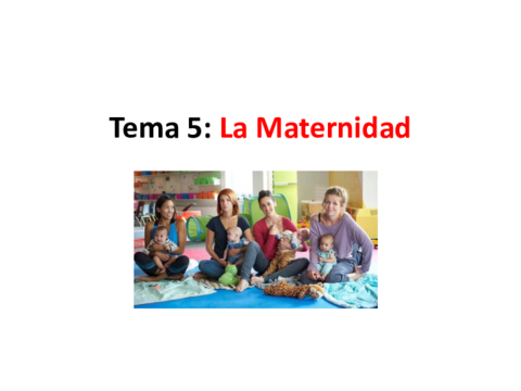 Tema5Lamaternidadmodificado.pdf