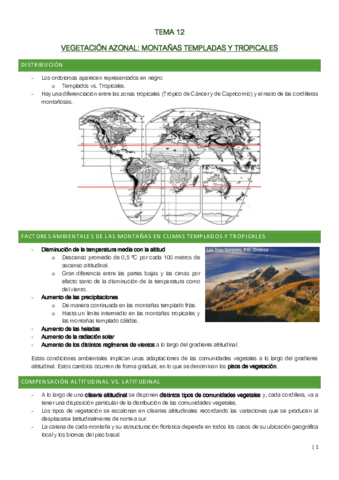 TEMA-12.pdf