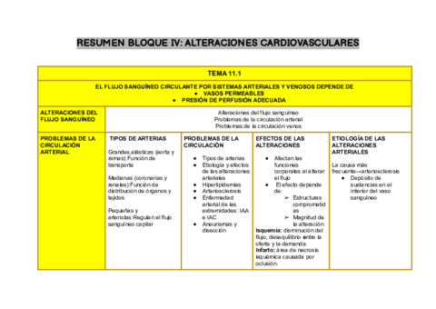 MartiCantonIruneRESUMEN-BLOQUE-IVALTERACIONES-CARDIOVASCULARES.pdf