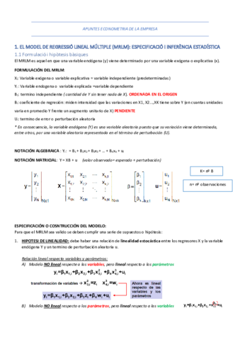 RESUMEN-ECONOMETRIA-DE-LA-EMPRESA-1-17.pdf