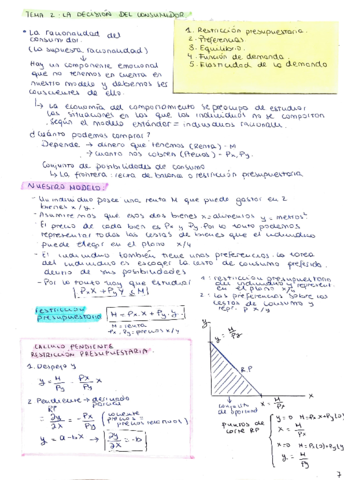 TEMA 2 (La decision del consumidor)