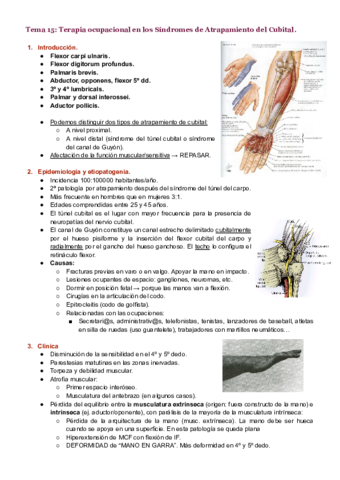 Tema-15.pdf
