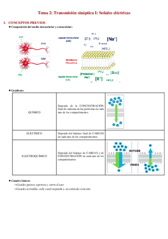 Tema-2-Transmision-sinaptica.pdf