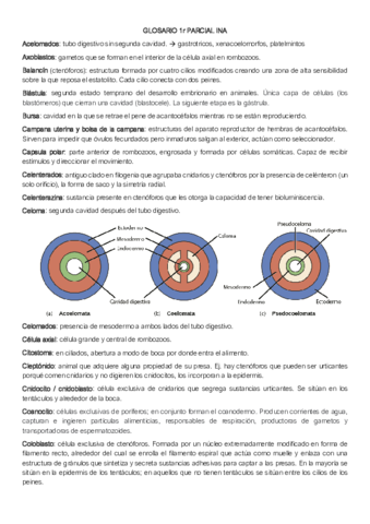 Glosari-1rP-INA.pdf