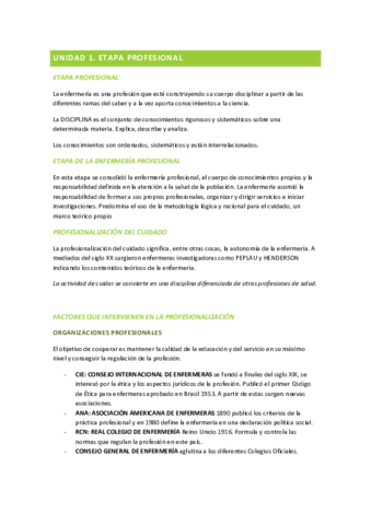 ETAPA-PROFESIONAL.pdf