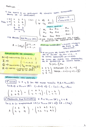 TEMA 1: Matrices, determinantes y sistemas.pdf