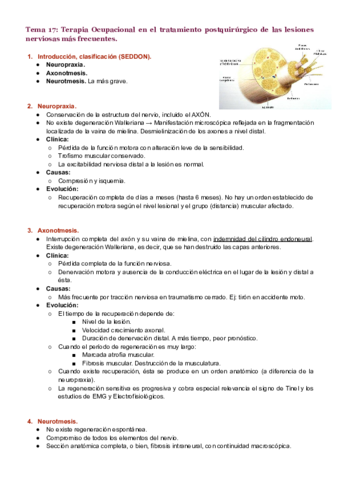 Tema-17.pdf