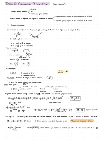 Tema-8-Circulacion-Y-Vortice-dad.pdf