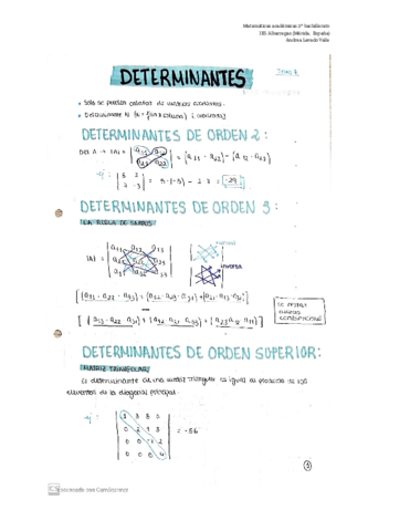 Dererminantes.pdf