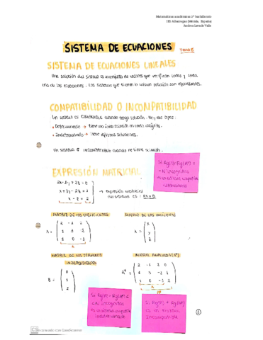 Sistema-de-ecuaciones-.pdf