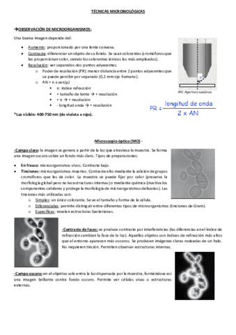 Resumen-Tema-3-Tecnicas-Microbiologicas.pdf