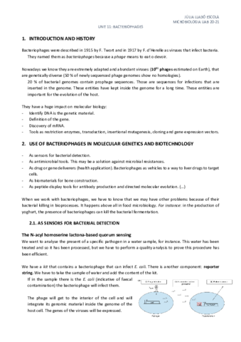 Unit-11-Bacteriophages.pdf