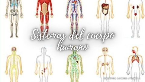 5BB9E4AB-3C1B-4539-A0FF-EFDF6305A925.pdf