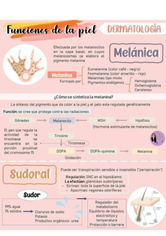 la-piel-funciones-ytipos.pdf