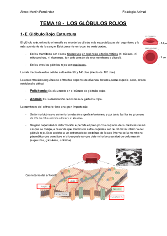 TEMA-18-LOS-GLOBULOS-ROJOS.pdf