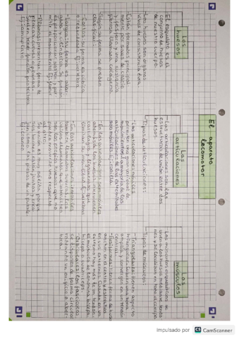 aparato-locomotor.pdf