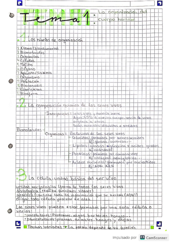 la-organizacion-del-cuerpo-humano.pdf