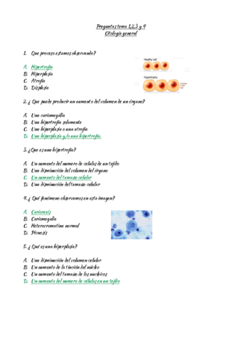 Preguntas-General-tema-1.pdf