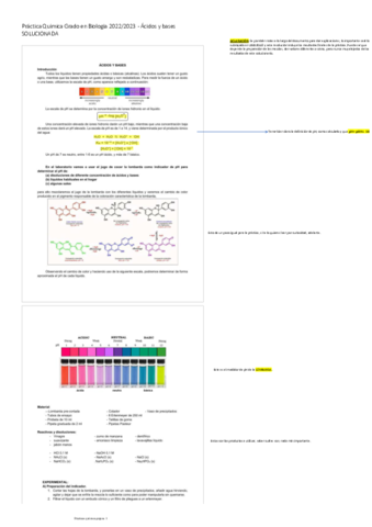 Practica-Quimica-Grado-en-Biologia-20222023-Acidos-y-bases-SOLUCIONADA.pdf
