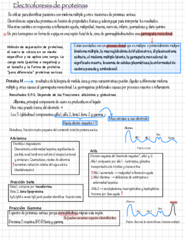 Electroforesis-de-proteina-y-perfil-lipidico.pdf